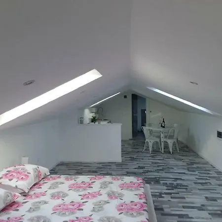 Apartment Vlahov *